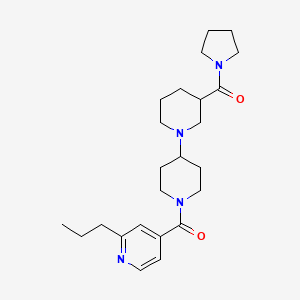 molecular formula C24H36N4O2 B5501675 1'-(2-丙基异烟酰基)-3-(吡咯烷-1-基羰基)-1,4'-联哌啶 