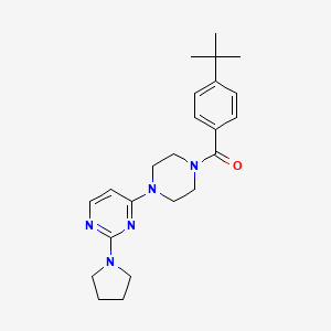 molecular formula C23H31N5O B5502585 4-[4-(4-叔丁基苯甲酰)-1-哌嗪基]-2-(1-吡咯烷基)嘧啶 