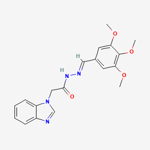 molecular formula C19H20N4O4 B5503939 2-(1H-benzimidazol-1-yl)-N'-(3,4,5-trimethoxybenzylidene)acetohydrazide 