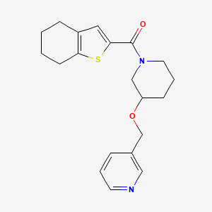 molecular formula C20H24N2O2S B5504194 3-({[1-(4,5,6,7-四氢-1-苯并噻吩-2-酰基)-3-哌啶基]氧}甲基)吡啶 