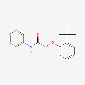 2-(2-tert-butylphenoxy)-N-phenylacetamide