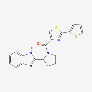 molecular formula C19H16N4OS2 B5507376 2-(1-{[2-(2-thienyl)-1,3-thiazol-4-yl]carbonyl}-2-pyrrolidinyl)-1H-benzimidazole 