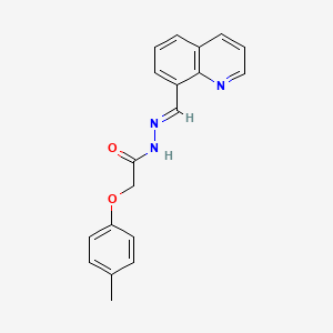 molecular formula C19H17N3O2 B5507752 2-(4-甲基苯氧基)-N'-(8-喹啉亚甲基)乙酰肼 