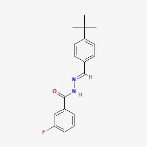 molecular formula C18H19FN2O B5509399 N'-(4-tert-butylbenzylidene)-3-fluorobenzohydrazide 