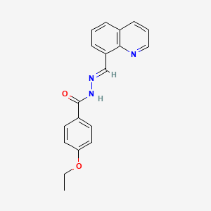 molecular formula C19H17N3O2 B5510327 4-乙氧基-N'-(8-喹啉甲亚胺)苯甲酰肼 