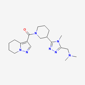molecular formula C19H29N7O B5510434 N,N-二甲基-1-{4-甲基-5-[1-(4,5,6,7-四氢吡唑并[1,5-a]吡啶-3-基羰基)哌啶-3-基]-4H-1,2,4-三唑-3-基}甲胺 
