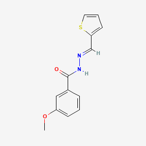 molecular formula C13H12N2O2S B5510630 3-甲氧基-N'-(2-噻吩亚甲基)苯甲酰肼 