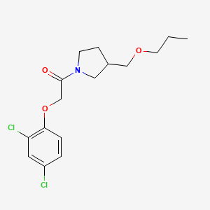 molecular formula C16H21Cl2NO3 B5510719 1-[(2,4-dichlorophenoxy)acetyl]-3-(propoxymethyl)pyrrolidine 