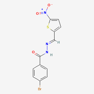 molecular formula C12H8BrN3O3S B5510726 4-bromo-N'-[(5-nitro-2-thienyl)methylene]benzohydrazide 