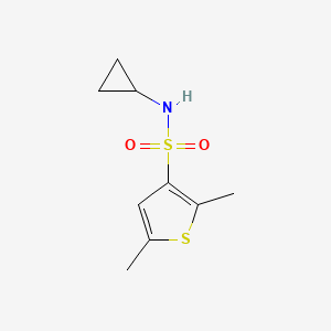 molecular formula C9H13NO2S2 B5510806 N-环丙基-2,5-二甲基噻吩-3-磺酰胺 