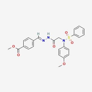 molecular formula C24H23N3O6S B5510929 methyl 4-(2-{[(4-methoxyphenyl)(phenylsulfonyl)amino]acetyl}carbonohydrazonoyl)benzoate 
