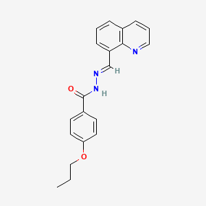 molecular formula C20H19N3O2 B5511279 4-propoxy-N'-(8-quinolinylmethylene)benzohydrazide 