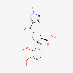molecular formula C19H23N3O5 B5511381 (3S*,4R*)-4-(2,3-dimethoxyphenyl)-1-[(1,3-dimethyl-1H-pyrazol-4-yl)carbonyl]pyrrolidine-3-carboxylic acid 