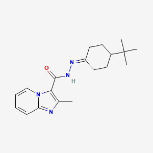 molecular formula C19H26N4O B5511914 N'-(4-tert-butylcyclohexylidene)-2-methylimidazo[1,2-a]pyridine-3-carbohydrazide 