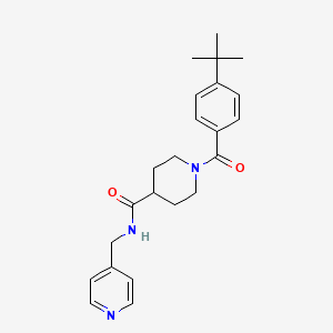 molecular formula C23H29N3O2 B5512703 1-(4-tert-butylbenzoyl)-N-(4-pyridinylmethyl)-4-piperidinecarboxamide 