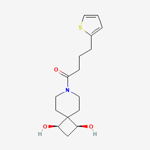 molecular formula C16H23NO3S B5514062 (1R*,3S*)-7-[4-(2-thienyl)butanoyl]-7-azaspiro[3.5]nonane-1,3-diol 