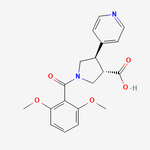 molecular formula C19H20N2O5 B5515402 (3S*,4R*)-1-(2,6-dimethoxybenzoyl)-4-pyridin-4-ylpyrrolidine-3-carboxylic acid 