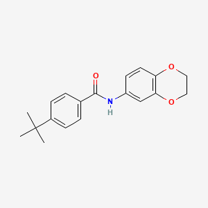 molecular formula C19H21NO3 B5518553 4-tert-butyl-N-(2,3-dihydro-1,4-benzodioxin-6-yl)benzamide 