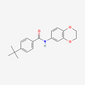 4-tert-butyl-N-(2,3-dihydro-1,4-benzodioxin-6-yl)benzamide