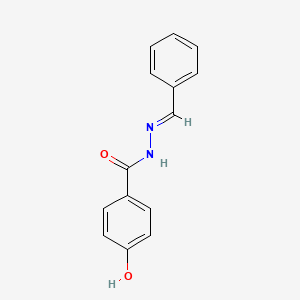 molecular formula C14H12N2O2 B5518677 N'-benzylidene-4-hydroxybenzohydrazide CAS No. 51771-18-7
