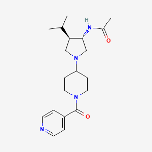 molecular formula C20H30N4O2 B5518946 N-[(3S*,4R*)-1-(1-isonicotinoyl-4-piperidinyl)-4-isopropyl-3-pyrrolidinyl]acetamide 