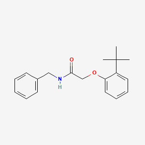 molecular formula C19H23NO2 B5519279 N-benzyl-2-(2-tert-butylphenoxy)acetamide 