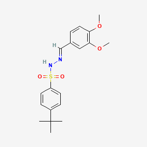 4-tert-butyl-N'-(3,4-dimethoxybenzylidene)benzenesulfonohydrazide