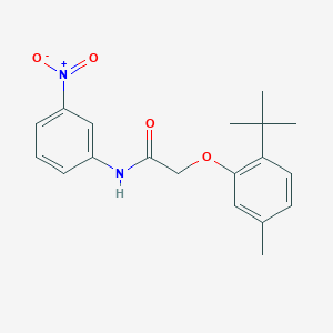 molecular formula C19H22N2O4 B5521104 2-(2-叔丁基-5-甲基苯氧基)-N-(3-硝基苯基)乙酰胺 