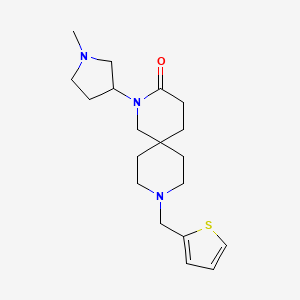 2-(1-methylpyrrolidin-3-yl)-9-(2-thienylmethyl)-2,9-diazaspiro[5.5]undecan-3-one