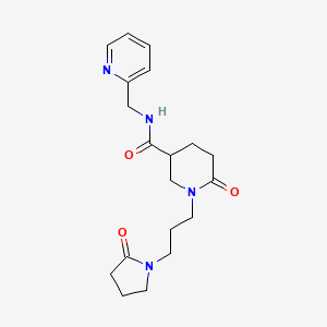 molecular formula C19H26N4O3 B5522007 6-oxo-1-[3-(2-oxo-1-pyrrolidinyl)propyl]-N-(2-pyridinylmethyl)-3-piperidinecarboxamide 