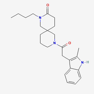 molecular formula C24H33N3O2 B5525929 2-丁基-8-[(2-甲基-1H-吲哚-3-基)乙酰]-2,8-二氮杂螺[5.5]十一烷-3-酮 