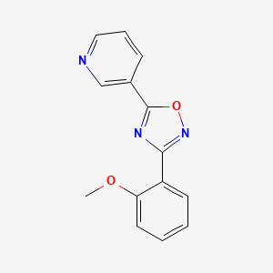 molecular formula C14H11N3O2 B5526187 3-[3-(2-甲氧苯基)-1,2,4-恶二唑-5-基]吡啶 