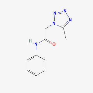 molecular formula C10H11N5O B5526542 2-(5-methyl-1H-tetrazol-1-yl)-N-phenylacetamide 