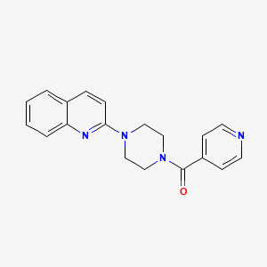 molecular formula C19H18N4O B5526930 2-(4-isonicotinoyl-1-piperazinyl)quinoline 