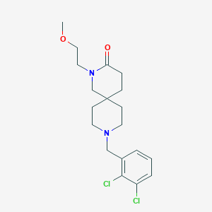 molecular formula C19H26Cl2N2O2 B5528482 9-(2,3-dichlorobenzyl)-2-(2-methoxyethyl)-2,9-diazaspiro[5.5]undecan-3-one 