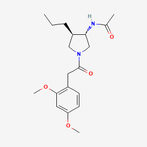 molecular formula C19H28N2O4 B5528584 N-{(3S*,4R*)-1-[(2,4-dimethoxyphenyl)acetyl]-4-propyl-3-pyrrolidinyl}acetamide 