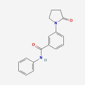 molecular formula C17H16N2O2 B5528927 3-(2-oxo-1-pyrrolidinyl)-N-phenylbenzamide 