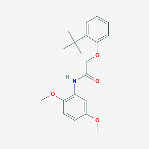 molecular formula C20H25NO4 B5529329 2-(2-叔丁基苯氧基)-N-(2,5-二甲氧基苯基)乙酰胺 
