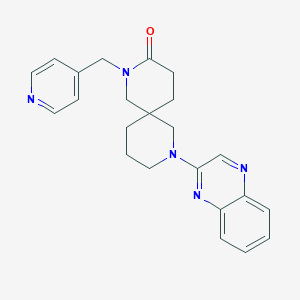 molecular formula C23H25N5O B5529374 2-(pyridin-4-ylmethyl)-8-quinoxalin-2-yl-2,8-diazaspiro[5.5]undecan-3-one 