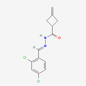 molecular formula C13H12Cl2N2O B5529389 N'-(2,4-dichlorobenzylidene)-3-methylenecyclobutanecarbohydrazide 