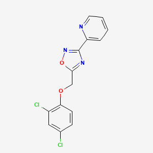 molecular formula C14H9Cl2N3O2 B5529485 2-{5-[(2,4-dichlorophenoxy)methyl]-1,2,4-oxadiazol-3-yl}pyridine 
