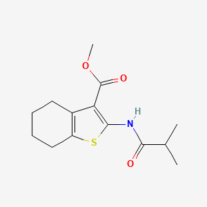 molecular formula C14H19NO3S B5529785 methyl 2-(isobutyrylamino)-4,5,6,7-tetrahydro-1-benzothiophene-3-carboxylate 