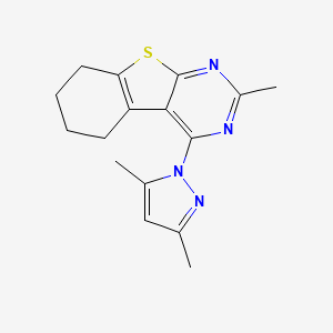 molecular formula C16H18N4S B5531028 4-(3,5-dimethyl-1H-pyrazol-1-yl)-2-methyl-5,6,7,8-tetrahydro[1]benzothieno[2,3-d]pyrimidine 