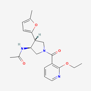 molecular formula C19H23N3O4 B5531062 N-[(3S*,4R*)-1-[(2-ethoxy-3-pyridinyl)carbonyl]-4-(5-methyl-2-furyl)-3-pyrrolidinyl]acetamide 