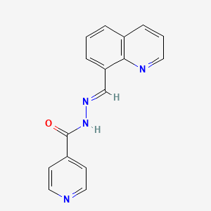 molecular formula C16H12N4O B5531338 N'-(8-quinolinylmethylene)isonicotinohydrazide 