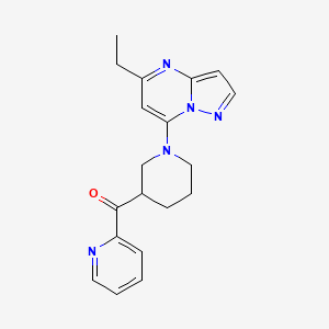 molecular formula C19H21N5O B5532772 [1-(5-ethylpyrazolo[1,5-a]pyrimidin-7-yl)piperidin-3-yl](pyridin-2-yl)methanone 