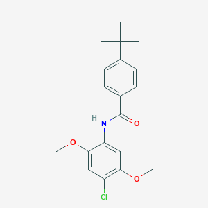 molecular formula C19H22ClNO3 B5534302 4-tert-butyl-N-(4-chloro-2,5-dimethoxyphenyl)benzamide 