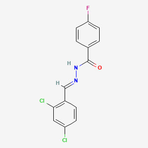 molecular formula C14H9Cl2FN2O B5535676 N'-(2,4-二氯苄叉亚甲基)-4-氟苯甲酰肼 