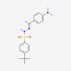 molecular formula C19H25N3O2S B5536451 4-tert-butyl-N'-[4-(dimethylamino)benzylidene]benzenesulfonohydrazide 