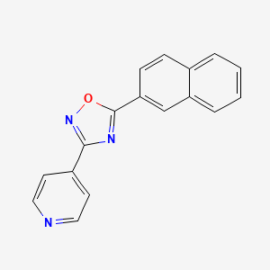 molecular formula C17H11N3O B5536577 4-[5-(2-萘基)-1,2,4-恶二唑-3-基]吡啶 